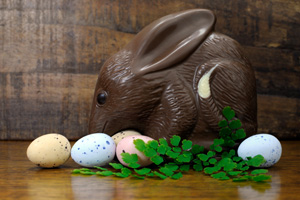 Happy Easter Australian style chocolate easter egg bunny Bilby a