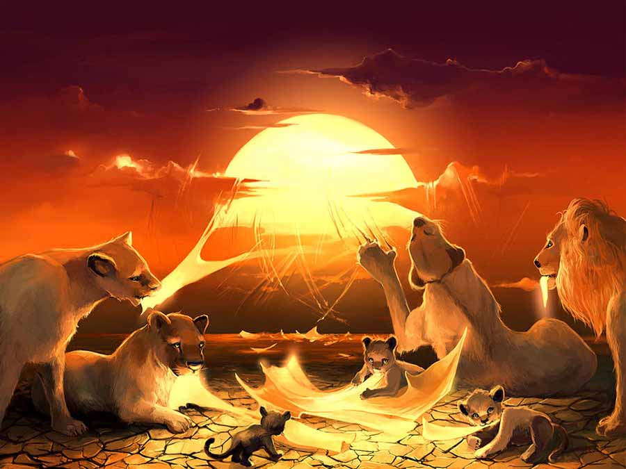 Яскраві Ілюстрації Cyril Rolando